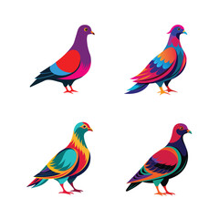4 icon set on 4000x4000 dramatic silhouette artwork of a colorful pigeon. px Template