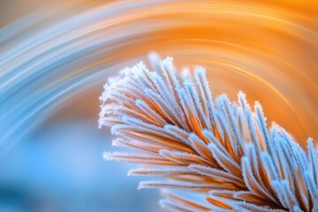 Frost-covered pine needles, delicate detail, winter beauty, abstract background.