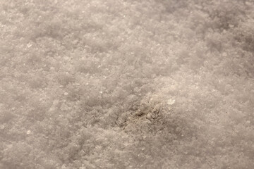 tree branches covered with snow