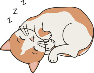 cute hand drawn cartoon character sleeping white and orange cat png illustration on transparent background