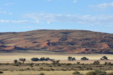 Sanddünen der Namib im Abendlicht in Namibia