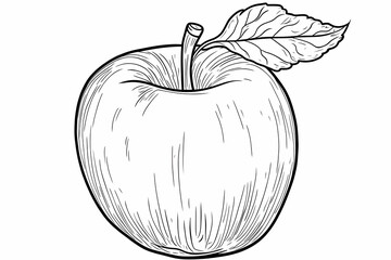 Apple Illustration with Leaf Simple Line Art for Coloring Pages