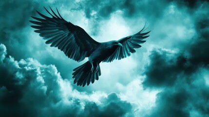 Fototapeta premium Lone Bird Gliding Effortlessly in the Sky with Wings Spread Wide
