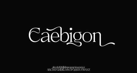Elegant alphabet letters font and number. Typography Luxury classic lettering serif fonts decorative wedding logo vintage retro concept. vector illustration
