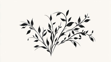 Fototapeta premium Elegant black floral design, white background, decorative element, design resource