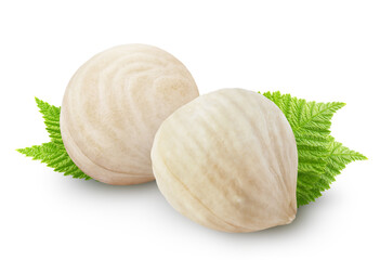 Isolated hazelnuts. Two peeled roasted hazelnut isolated on white background with clipping path