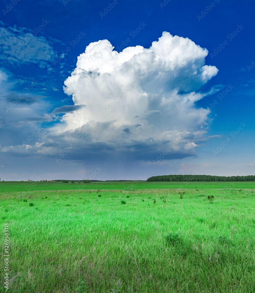 Wall mural Large cloud in the sky over a field of grass