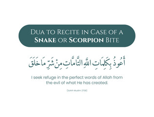 Dua to Recite in Case of a Snake or Scorpion Bite