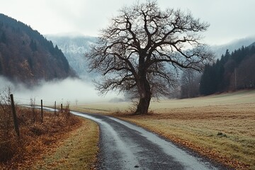 Misty mountain valley road with lone tree