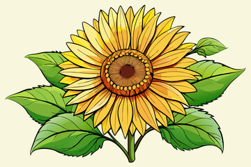 vector of Sunflower with leaves.