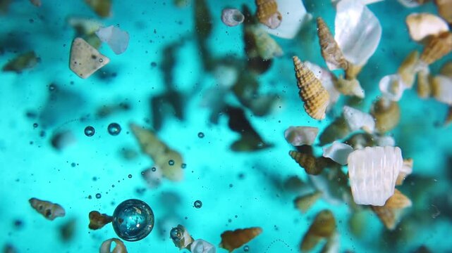 A many different seashells fall underwater. Beautiful blue sea background. 4k super slow motion raw video.