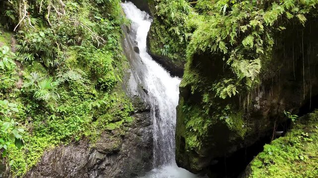 una hermosa y caudalosa cascada se abre camino entre las rocas.