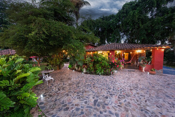 Obraz premium garden with flowers