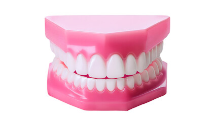 Obraz premium realistic 3d render of a pink dental model with white teeth, isolated background, professional orthodontic teaching tool, artificial tooth anatomy, dental care concept, oral health, cosmetic dentistry