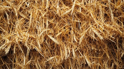 Hay straw texture map pattern background wallpaper