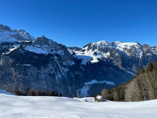 Fototapeta premium snow covered mountains