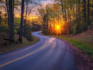 Fototapeta premium Winding Road in Forest