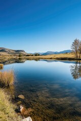 Lakeside landscape with greenery