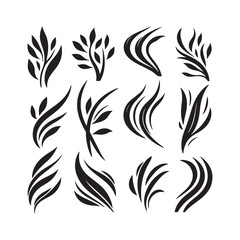 Hand drawn set of corals and seaweed silhouette