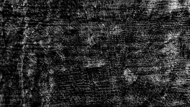 black white grayscale shake vibration of grunge background texture background 4K morphing transition video of outdoor material cement tree bark concrete wall plaster . backdrop loop.