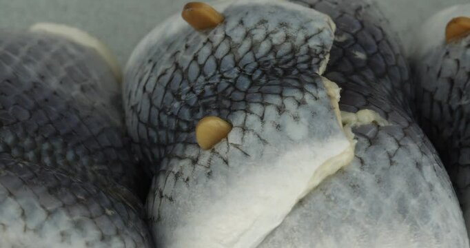 fresh rollmops closeup rotating selective focus 4k 30fps