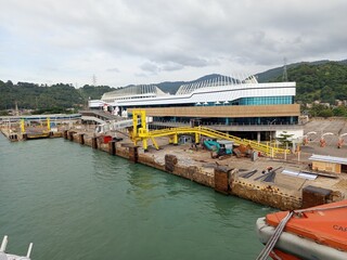 boats in the harbor