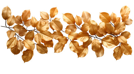 Fototapeta premium Golden Leaves Branch Autumn Nature Design, Shiny Plant Decor for Fall Themes, isolated on transparent background.