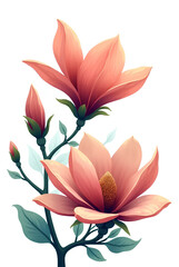 Vignette of flowers. Magnolia. 