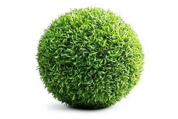 Green grass ball isolated on white background