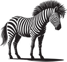 animal zebra black white stripes design