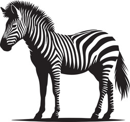 zebra and horse silhouette on white background
