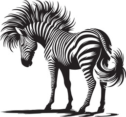 zebra and horse silhouette on white background