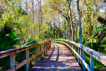 Fototapeta premium Wesley Chaple, Florida, USA, 12 10 2024: The winter foliage landscape of a beautiful community and trail at Wesley Chapel, north of Tampa in Florida