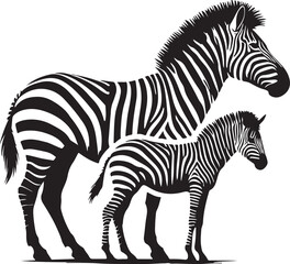 zebra and horse silhouette on white background