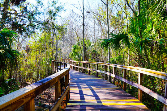 Wesley Chaple, Florida, USA, 12 10 2024: The winter foliage landscape of a beautiful community and trail at Wesley Chapel, north of Tampa in Florida