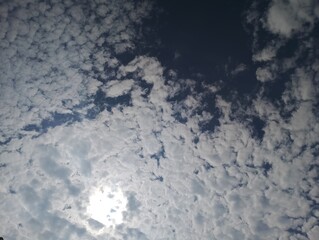 Blue sky filled with soft, puffy altocumulus clouds illuminated by the sun