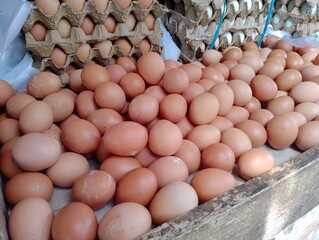 Fresh Chicken Eggs in Bulk at the Market Display for Sale and Consumption