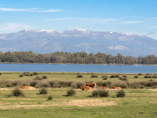 Lake Fogliano with Monti Lepini in the background, Circeo National Park, Italy	