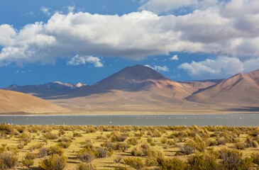 Northern Chile