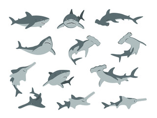 Sharks vector illustration. Cartoon Hammerhead shark and sawfish in different poses. Marine predator fish set