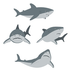 Sharks vector illustration. Cartoon shark in different poses. Marine predator fish set