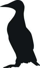 Emperor penguin arctic bird black-and-white