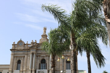 palm trees in the city