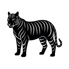 zebra vector illustration