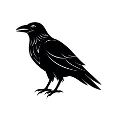 raven silhouette vector illustration