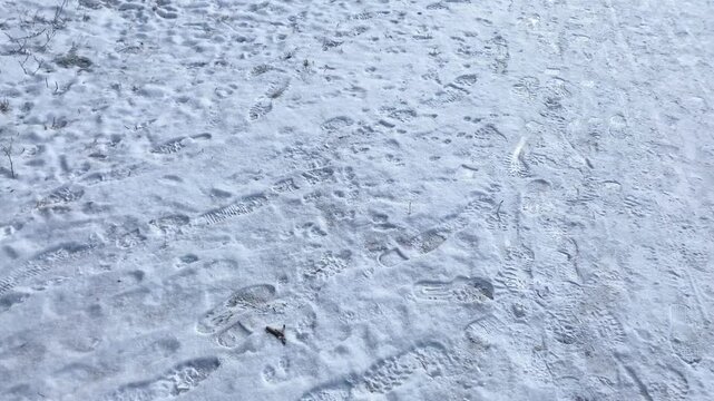 The ground in the snow is trampled by human and animal tracks in winter, light snow falls