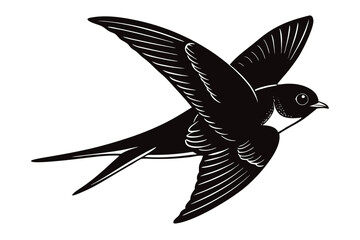 vector illustration of a bird