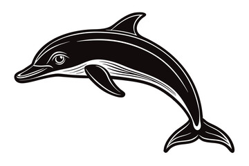 dolphin vector illustration