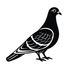 dove on white background vector illustration