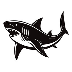 vector illustration of a shark